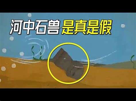 河中石獸工作紙答案|《河中石獸》原文及習題集答案,《河中石獸》原文及習題集答案